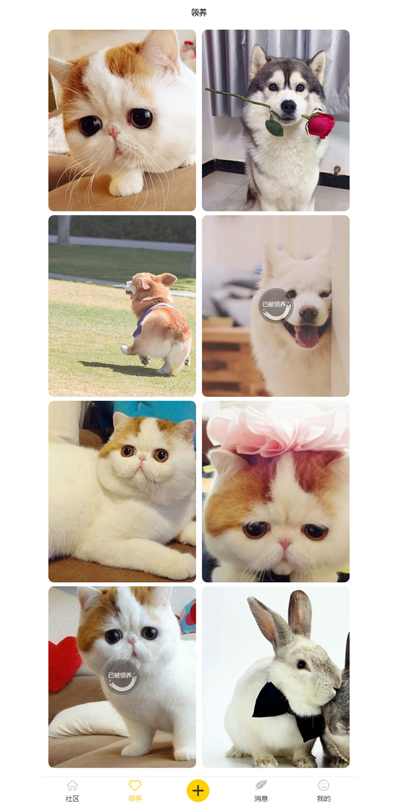 [field:text/]